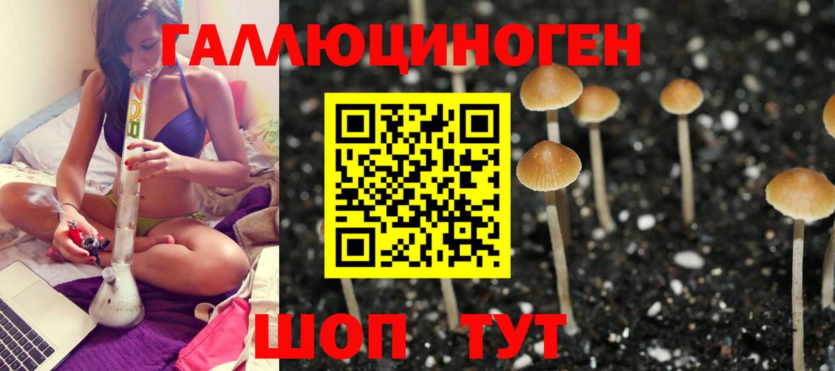 Псилоцибиновые грибы Cubensis  Вход с VPN  Пенза 